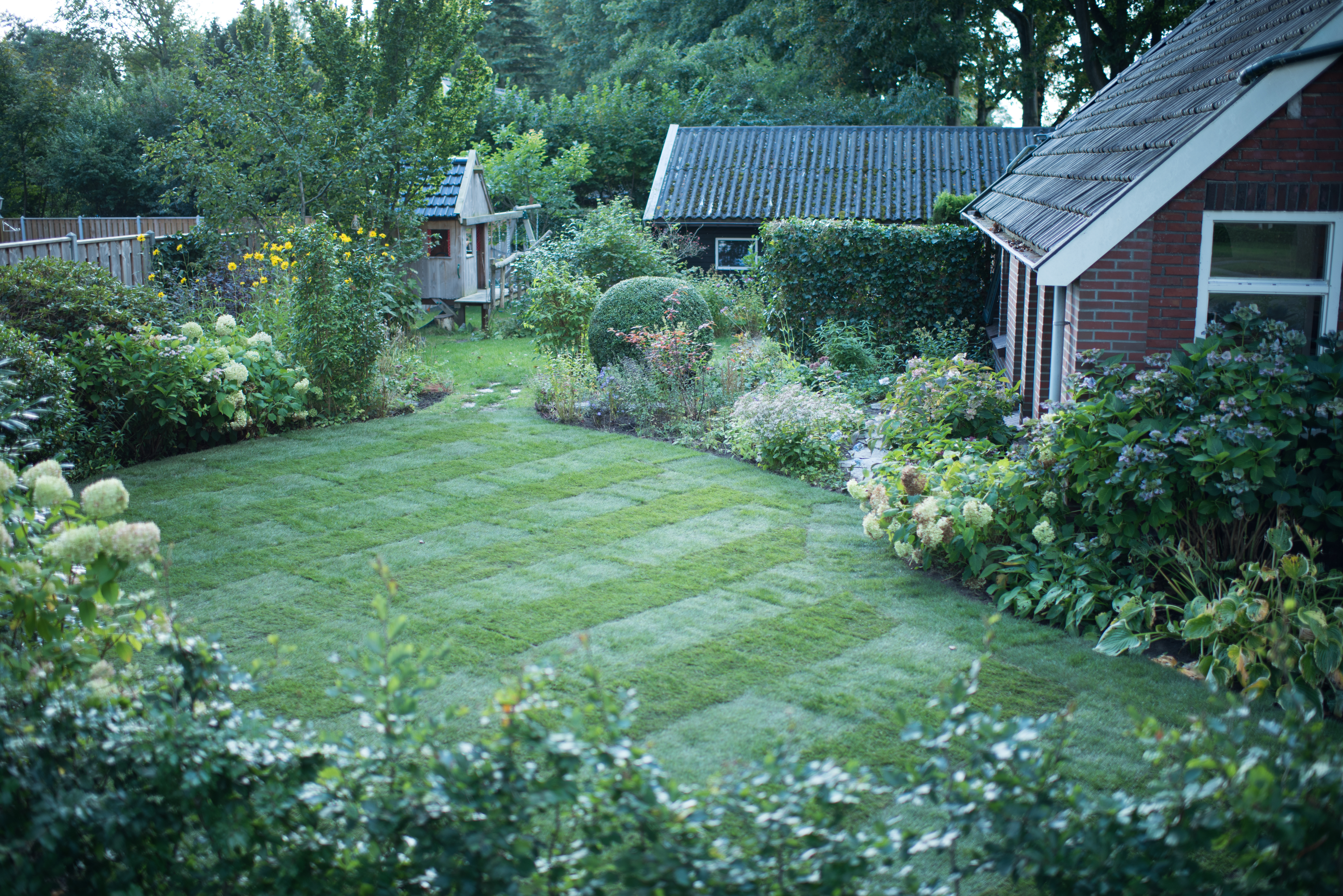 gras aanleggen tuin