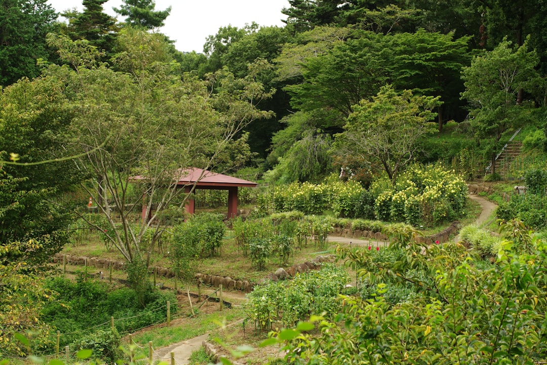 Beautiful green and flower garden、新緑と美しい花が織りなす絶景 A superb view of fresh greenery and beautiful flowers、Give a bouquet of flowers 花束贈るA superb view of Japan's beautiful village and flowers