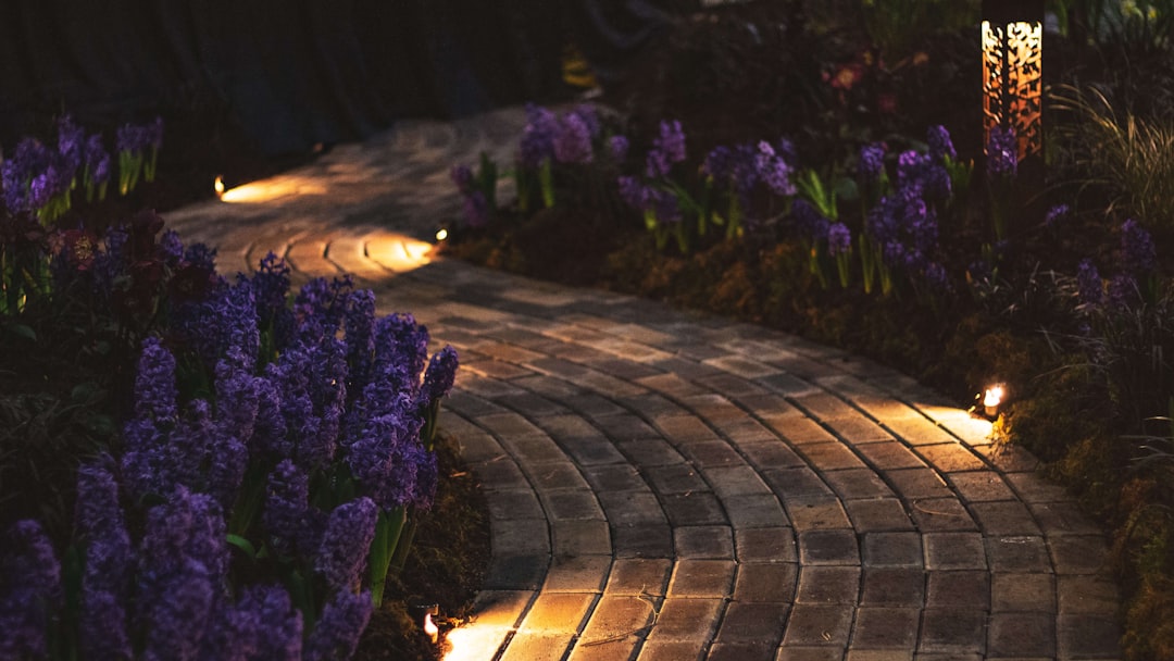 Beautifully lit garden path