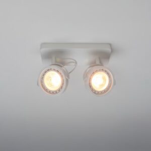 Zuiver Plafondlamp 'Dice' 2-lamps
